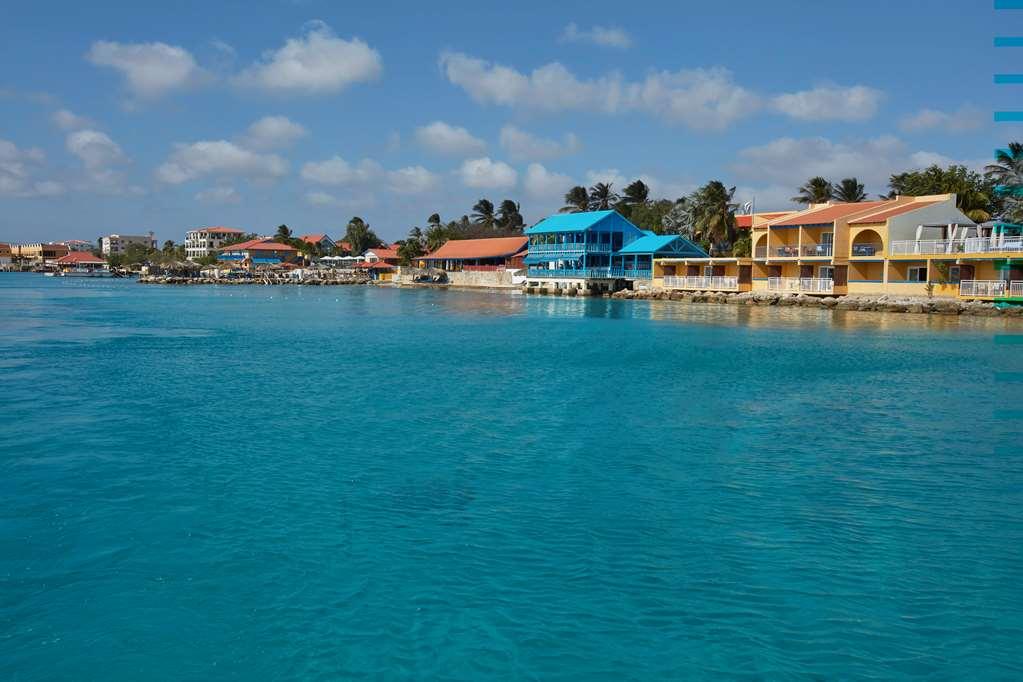 Divi Flamingo Beach Resort Playa Extérieur photo
