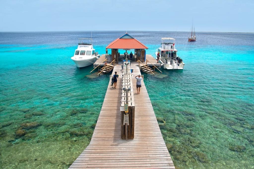 Divi Flamingo Beach Resort Playa Extérieur photo